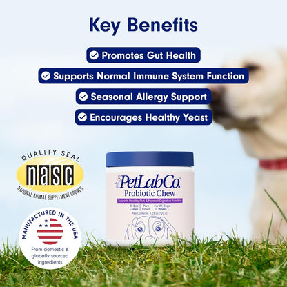 Petlab Co. Probiotics for Dogs, Support Gut Health, Diarrhea, Digestive Health & Seasonal Allergies - Pork Flavor - 30 Soft Chews - Packaging May Vary (Value 3-Pack)