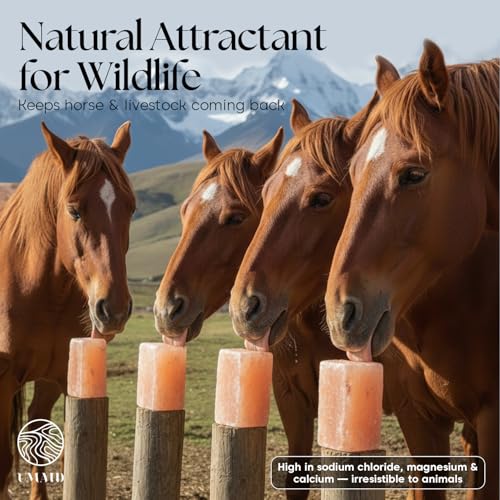 UMAID Himalayan Salt Block 4-Pack, 8x4x2 Inches – Natural Pink Mineral Block for Horses, Cows, Goats & Sheep – Long-Lasting Livestock Salt Supplement