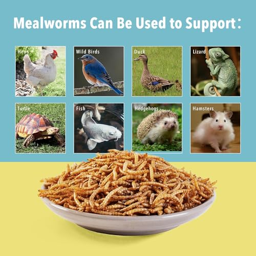 WormsFarm 10lb Dried Mealworms for Wild Birds Chickens Feed for Laying Hens,Ducks,Reptiles