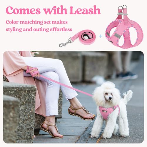 rabbitgoo Dog Harness Small Sized and Leash Set, Step in Soft Light Puppy Vest, Breathable Mesh Pet Harness, Reflective for Safe Easy Walking, Pink & Plaid Trim S