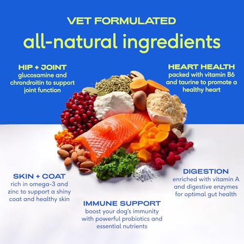 Native Pet The Daily Dog Vitamins & Supplements - 11-in-1 Multivitamin Powder for Dogs - Supports Whole Body Health, Digestion, Mobility & Immunity with Collagen, Glucosamine & Probiotics –120 Scoops