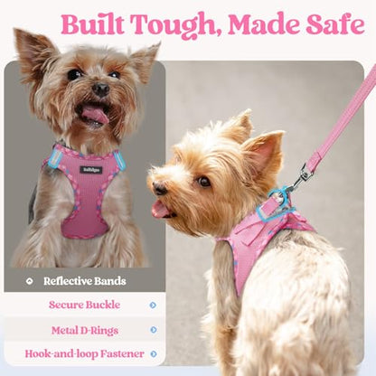 rabbitgoo Dog Harness Small Sized and Leash Set, Step in Soft Light Puppy Vest, Breathable Mesh Pet Harness, Reflective for Safe Easy Walking, Pink & Plaid Trim S