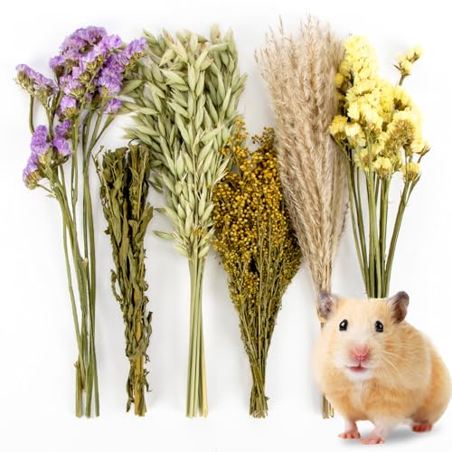 Sukh 42Pcs Hamster Sprays Natural - Sprays & Forage for Small Animals