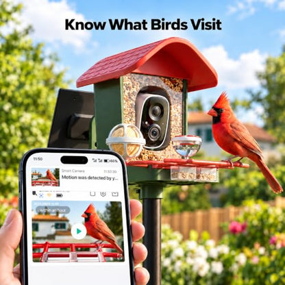 3K Smart Bird Feeder with Camera, 2.4GHz WiFi Solar Camera Feeder, AI Bird Species Identification & Real-Time App Alerts, Chew-Proof & Waterproof for Outdoors