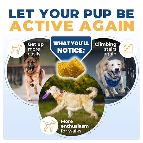 Jope Hip & Joint Supplement for Dogs Large, Medium, Small - Joint Chews w/UC-II® Collagen - Proven Better Than Glucosamine Chondroitin in Canine Health - Veterinarian Formulated, Omega 3 & Curcumin