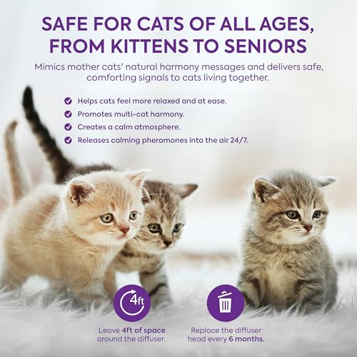 TopSum Cat Calming Diffuser Refill: 6 Refills Top Value Pack Cat Pheromones Calming Diffuser Refill – Helps Reduce Scratching Peeing Meowing Hiding Urine Marking Aggression (6 Refills)