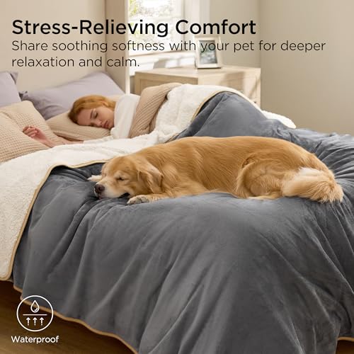 Bedsure Waterproof Dog Blankets for Small Dogs - Small Cat Blanket Washable for Couch Protection, Sherpa Fleece Puppy Blanket, Soft Plush Reversible Throw Furniture Protector, 25"X35", Grey
