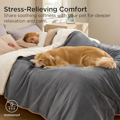 Bedsure Waterproof Dog Blankets for Small Dogs - Small Cat Blanket Washable for Couch Protection, Sherpa Fleece Puppy Blanket, Soft Plush Reversible Throw Furniture Protector, 25"X35", Grey