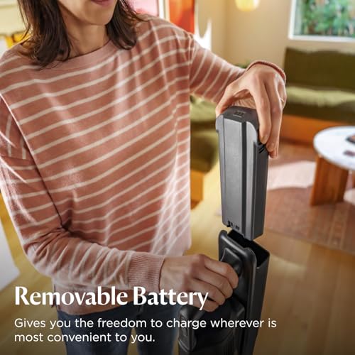 Bissell PowerClean FurGuard 280W Self-Standing Cordless Vacuum, 4039