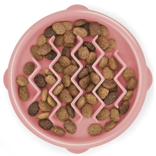 Outward Hound Fun Feeder Slo Bowl Dog Slow Feeder, Wave, Pink, 5.8"