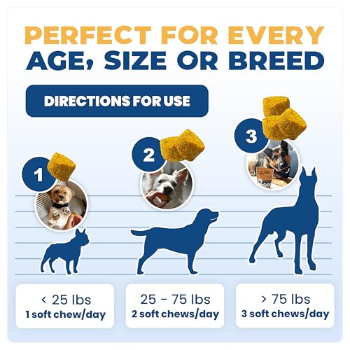 Jope Hip & Joint Supplement for Dogs Large, Medium, Small - Joint Chews w/UC-II® Collagen - Proven Better Than Glucosamine Chondroitin in Canine Health - Veterinarian Formulated, Omega 3 & Curcumin