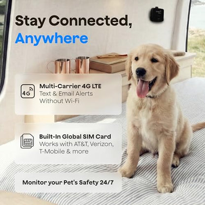 Waggle 4G Pet Temperature Monitor – No Wi-Fi Needed, Real-Time App/SMS/Email Alerts - RV, Car & Home Safety Device with Power-Outage Notifications, Rechargeable Battery – Subscription Required