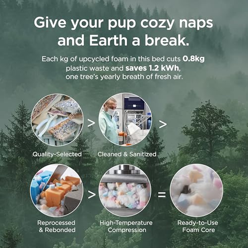 Bedsure SupportMax™ Orthopedic Dog Beds Large Sized Dog - Extra Thick Supportive Large Dogs Bed with Waterproof Washable Cover, L Plus Comfort Pet Sofa with Soft Sherpa and Nonskid Bottom, Grey, 38"