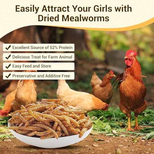 LuckyQworms Dried Mealworms 5Lbs, High-Protein Bulk Mealworms, 100% Non-GMO Mealworm Treats for Birds, Chickens, Turtles, Fish, Hamsters and Hedgehogs All Natural Animal Feed