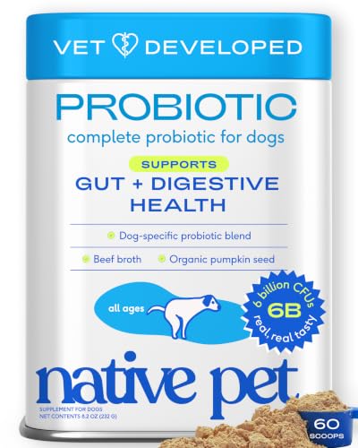Native Pet Probiotics for Dogs – Dog Probiotic Powder for Gut & Digestive Health, Vet-Formulated 6B CFUs Dog-Specific Probiotic Strains, Supports Stool Quality & Diet Transitions – 60 Scoops