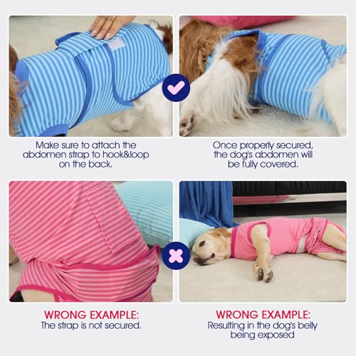 FUAMEY Recovery Suit for Dogs After Surgery,Soft Breathable Dog Bodysuit