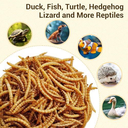 LuckyQworms Dried Mealworms 5Lbs, High-Protein Bulk Mealworms, 100% Non-GMO Mealworm Treats for Birds, Chickens, Turtles, Fish, Hamsters and Hedgehogs All Natural Animal Feed