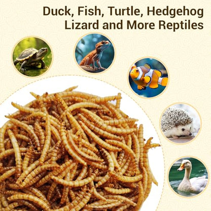 LuckyQworms Dried Mealworms 5Lbs, High-Protein Bulk Mealworms, 100% Non-GMO Mealworm Treats for Birds, Chickens, Turtles, Fish, Hamsters and Hedgehogs All Natural Animal Feed