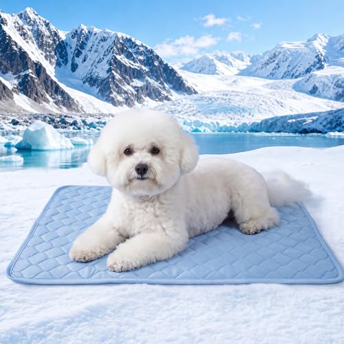 PatiencET Dog Cooling Mat, 22 x 28 in No-Gel Cooling Pad for Small Dogs, Puppies and Cats, Cool Touch Nylon Pet Mat, Washable Summer Dog Mat for Crate, Floor, Sofa, Car, Blue