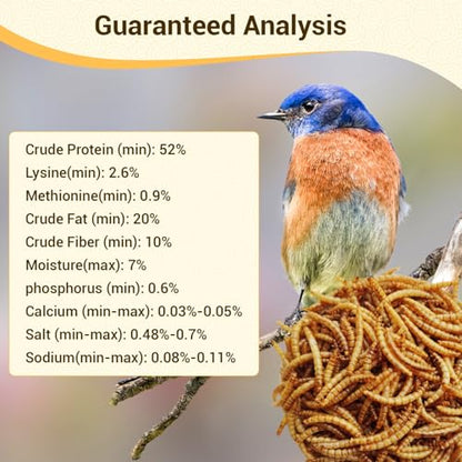 LuckyQworms Dried Mealworms 5Lbs, High-Protein Bulk Mealworms, 100% Non-GMO Mealworm Treats for Birds, Chickens, Turtles, Fish, Hamsters and Hedgehogs All Natural Animal Feed