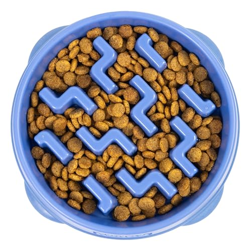 Outward Hound Fun Feeder Slo Bowl – Medium 2‑Cup Capacity, Slow Feeding, Small to Medium Dogs & Cats, Non-Slip, Blue, Notch Pattern