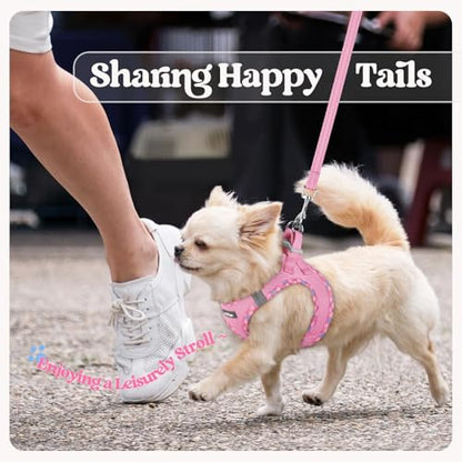 rabbitgoo Dog Harness Small Sized and Leash Set, Step in Soft Light Puppy Vest, Breathable Mesh Pet Harness, Reflective for Safe Easy Walking, Pink & Plaid Trim S