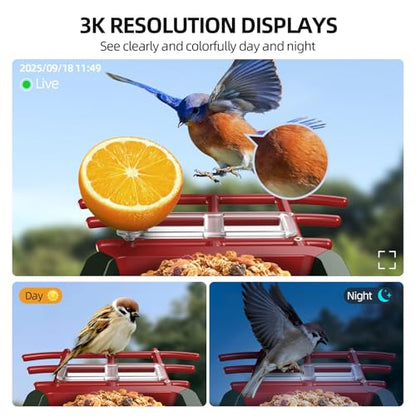 3K Smart Bird Feeder with Camera, 2.4GHz WiFi Solar Camera Feeder, AI Bird Species Identification & Real-Time App Alerts, Chew-Proof & Waterproof for Outdoors