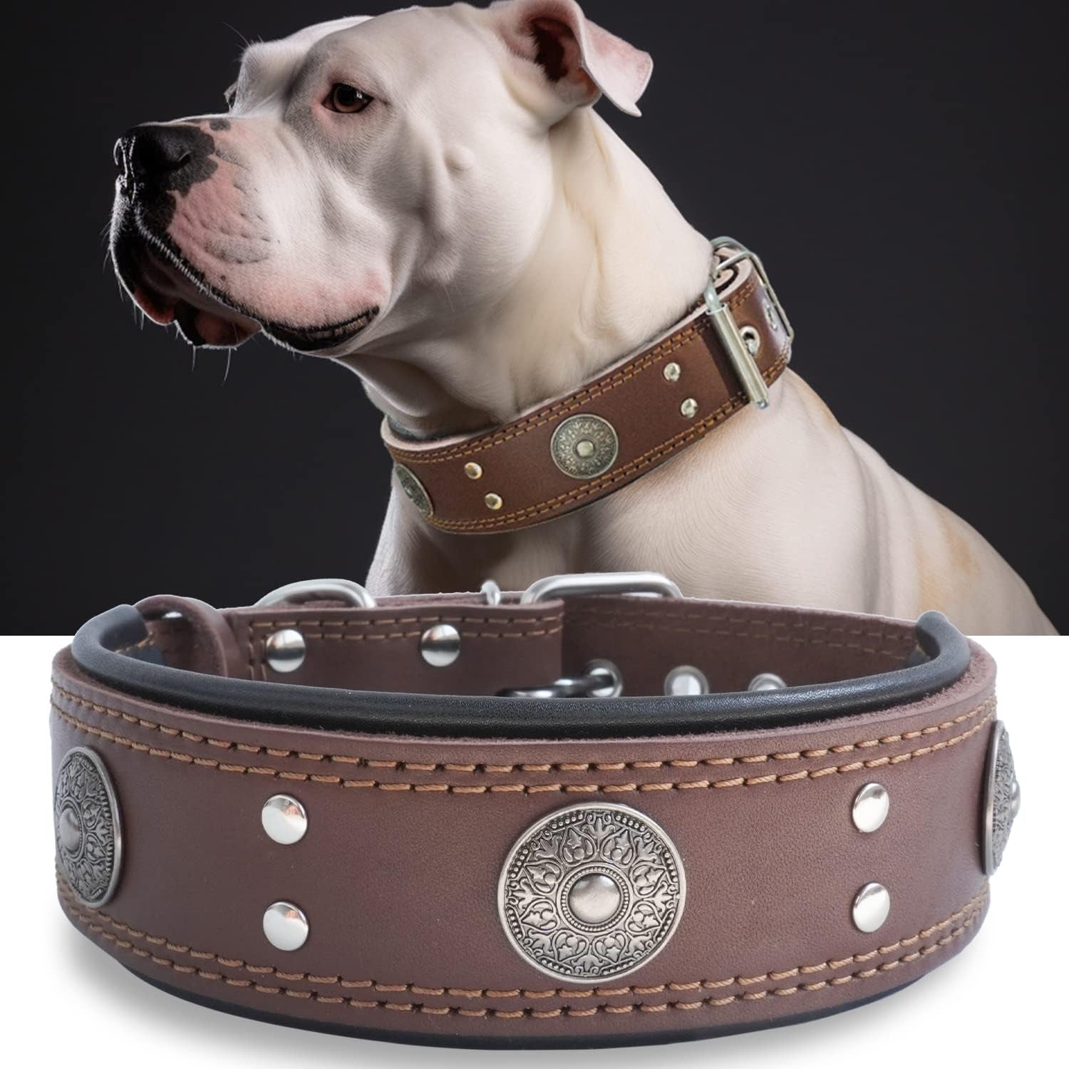 Leather Dog Collar, 2 inches Wide Heavy Duty Genuine Leather Collars, Handmade, Soft, and Luxury, Eye-catching Best Choice for Large and Medium Breed Dogs 19.5-23.5 inches