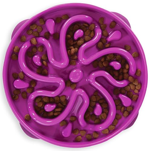 Outward Hound Fun Feeder Slo Bowl – Large 4‑Cup Capacity, Slow Feeding, Medium to Large Dogs, Non‑Slip, Purple, Flower Pattern