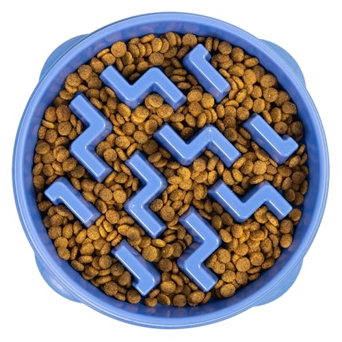 Outward Hound Fun Feeder Slo Bowl – Large 4‑Cup Capacity, Slow Feeding, Medium to Large Dogs, Non‑Slip, Blue, Notch Pattern