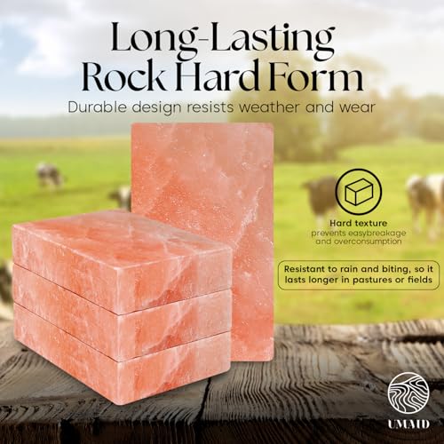 UMAID Himalayan Salt Block 4-Pack, 8x4x2 Inches – Natural Pink Mineral Block for Horses, Cows, Goats & Sheep – Long-Lasting Livestock Salt Supplement