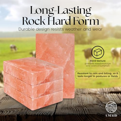 UMAID Himalayan Salt Block 4-Pack, 8x4x2 Inches – Natural Pink Mineral Block for Horses, Cows, Goats & Sheep – Long-Lasting Livestock Salt Supplement