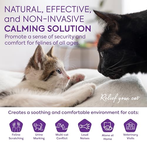 TopSum Cat Calming Diffuser Refill: 6 Refills Top Value Pack Cat Pheromones Calming Diffuser Refill – Helps Reduce Scratching Peeing Meowing Hiding Urine Marking Aggression (6 Refills)