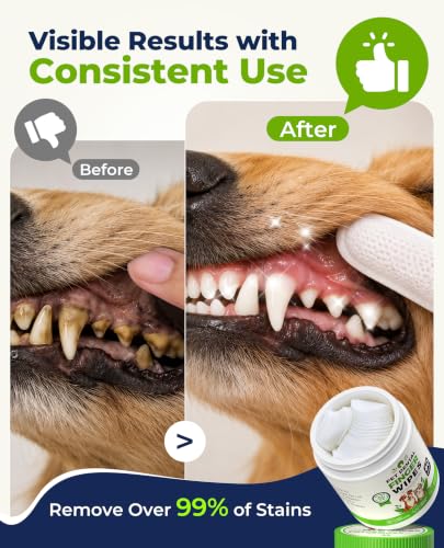 Dog Dental Wipes for Teeth Cleaning, Finger Toothbrush Wipes for Dogs Cats,Dog Teeth Cleaning Wipes Reduce Bad Breath & Plaque Tartar, No-Rinse Daily Oral Care,Dog Toothbrush & Toothpaste Alternatives