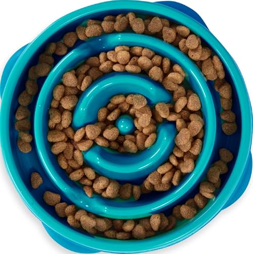 Outward Hound Fun Feeder Slo Bowl - Medium 2-Cup Capacity, Slow Feeding, Small to Medium Dogs & Cats, Non-Slip, Turquoise, Drop Pattern