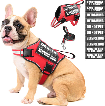 Service Dog Vest Harness and Leash Set+10 Patches,No Pull&Adjustable Reflective Dog Harness with Soft Padded Handle for Training/Everyday,Fit Small/Medium/Large/Extra-Large Dogs(Red M)