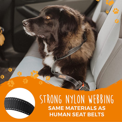 Mighty Paw Dog Seat Belt - Latch Bar Attachment like a Child'S Car Seat - Strong and Durable with 850+ LBS Force Tension - All Metal for Strength and Durability - Keeps Your Dog Restrained and Calm