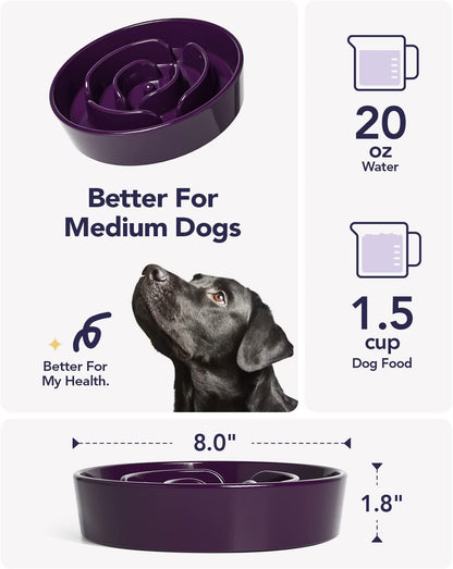 LE TAUCI Dog Bowls Slow Feeder Ceramic, 1.5 Cups Slow Feeding Dog Bowl Small Medium Breed, Puppy Slow Feeder Bow for Fast Eaters, Dog Dishes to Slow down Eating, Puzzle Dog Food Bowl,Skull Black