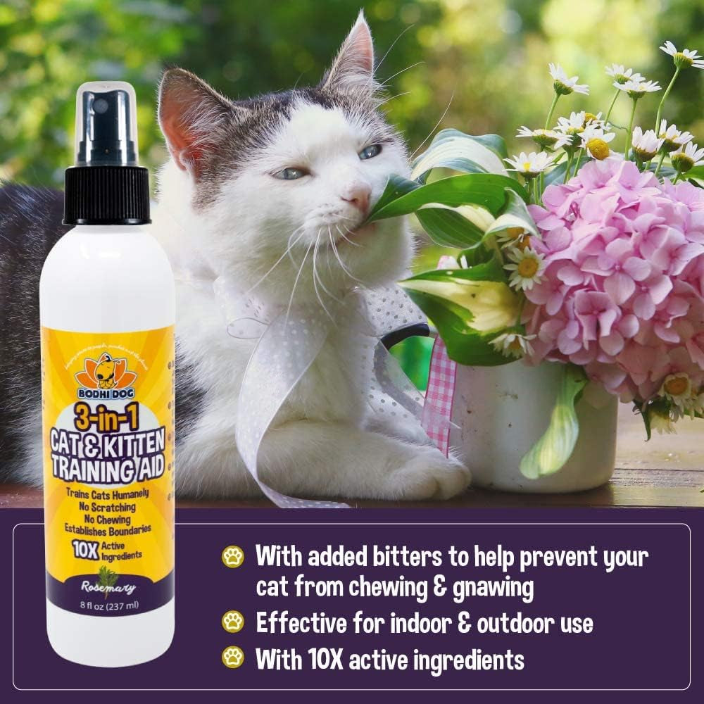 Bodhi Dog Cat No More Marking! Spray | Deters Cats from Urine Marking Indoors & Outdoors | Removes Urine Marking Odors | Safe for Indoor & Outdoor Use | Made in USA 8Oz