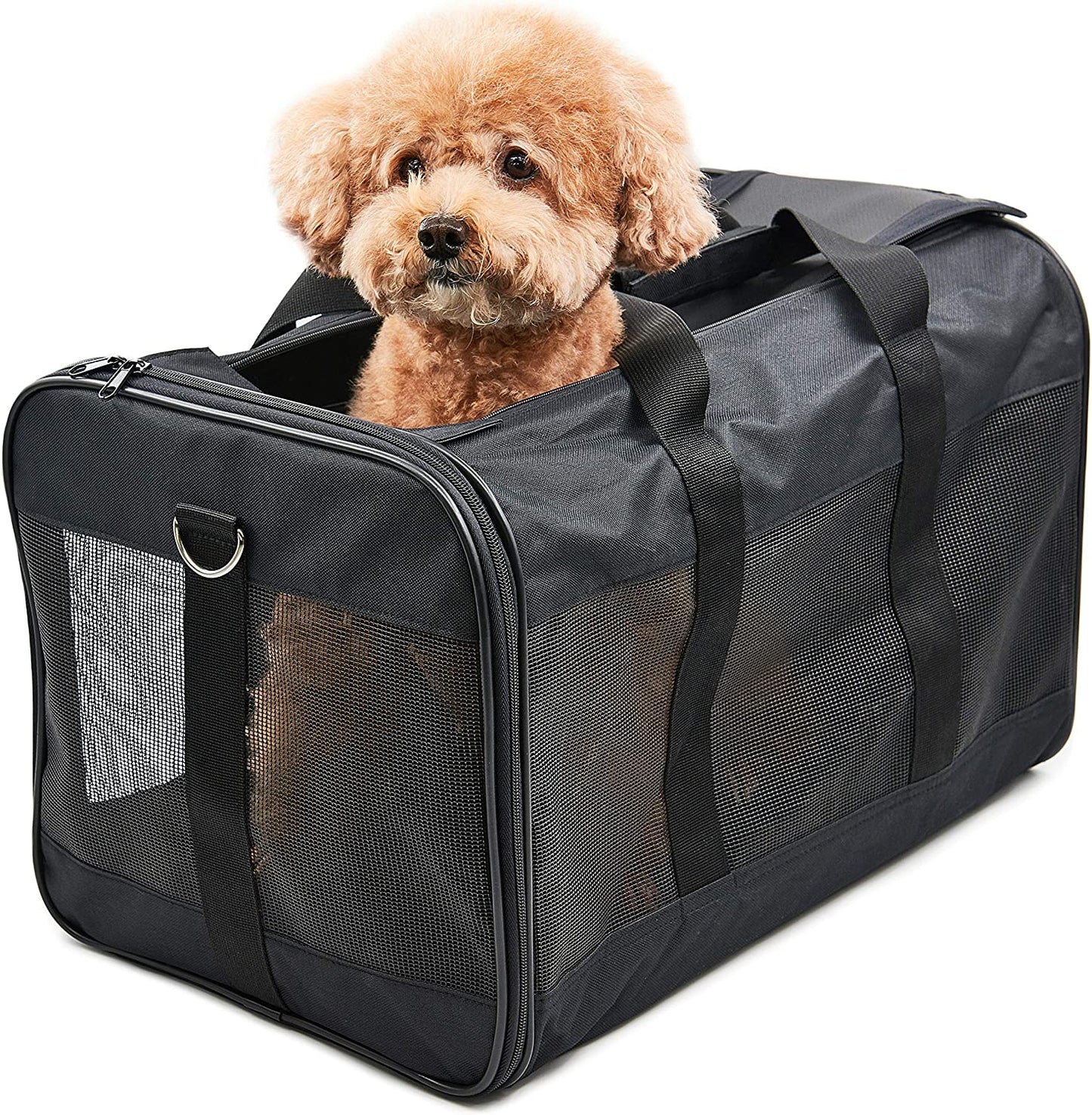 HITCH Scratchme Pet Travel Carrier Soft Sided Portable Bag for Cats, Small Dogs, Kittens or Puppies, Collapsible, Durable, Airline Approved, Carry Your Pet with You Safely and Comfortably (L)