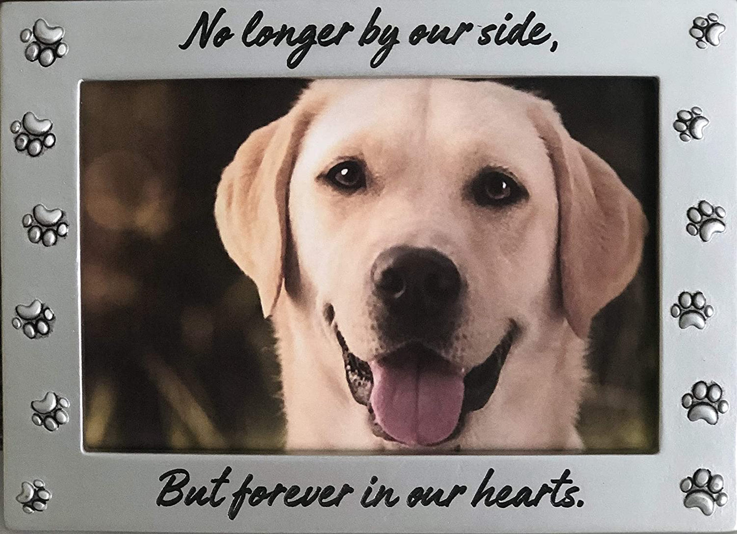 Newlifelandia Pet Memorial Picture Frame Keepsake for Dog or Cat, Perfect Loss of Pet Gift for Remembrance and Healing
