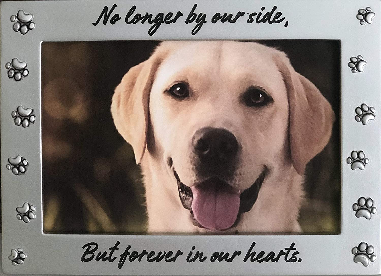 Newlifelandia Pet Memorial Picture Frame Keepsake for Dog or Cat, Perfect Loss of Pet Gift for Remembrance and Healing