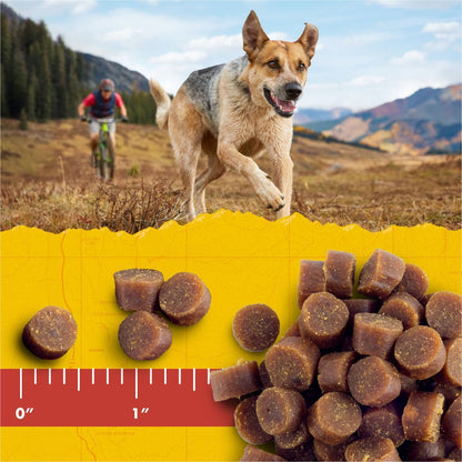 Zuke’S Mini Naturals Soft and Chewy Dog Treats for Training Pouch, Natural Treat Bites with Beef Recipe - 6.0 OZ Pouch