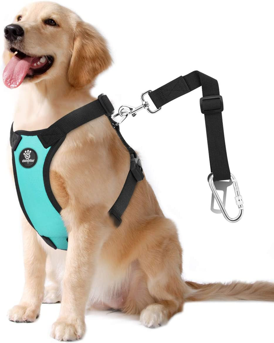 Dog Vehicle Safety Vest Harness, Adjustable Soft Padded Mesh Car Seat Belt Leash Harness with Travel Strap and Carabiner for Most Cars, Extra Large Size, Blue