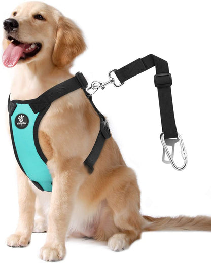 Dog Vehicle Safety Vest Harness, Adjustable Soft Padded Mesh Car Seat Belt Leash Harness with Travel Strap and Carabiner for Most Cars, Large Size, Blue