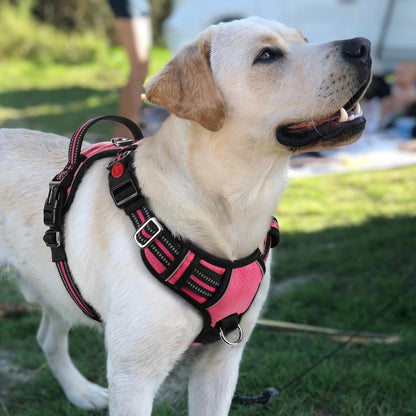 rabbitgoo Dog Harness for Large Dogs, No Pull Dog Vest Harness with 3 Buckles, Adjustable Soft Padded Pet Harness with Easy Control Handle and Reflective Strips, Pink, L