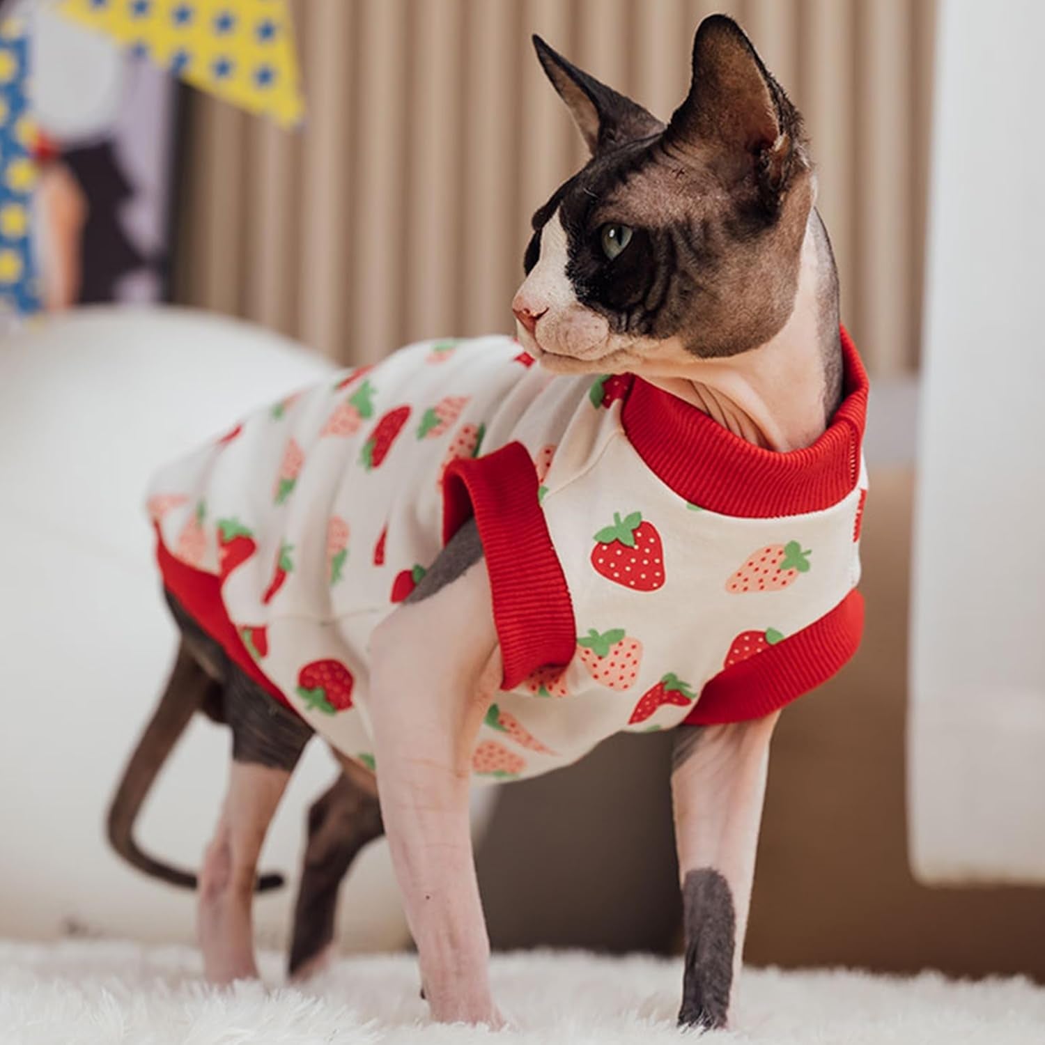 PUMYPOREITY Sphynx Cat Clothes, Stretchy Cat Sweater, Soft Hairless Cats Shirt, Pullover Cat Pajamas, Cat Turtleneck for Sphynx Cornish Rex, Devon Rex, Yellow, 2XL