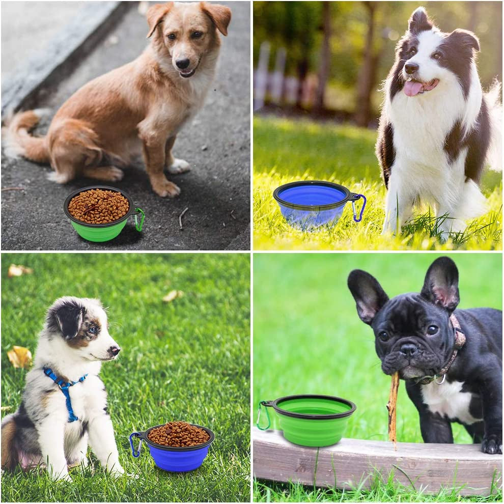 Collapsible Bowls, 2 Pack Water Bowls for Cats Dogs, Portable Pet Feeding Watering Dish for Walking Parking Traveling with 2 Carabiners (Large, Blue+Green)