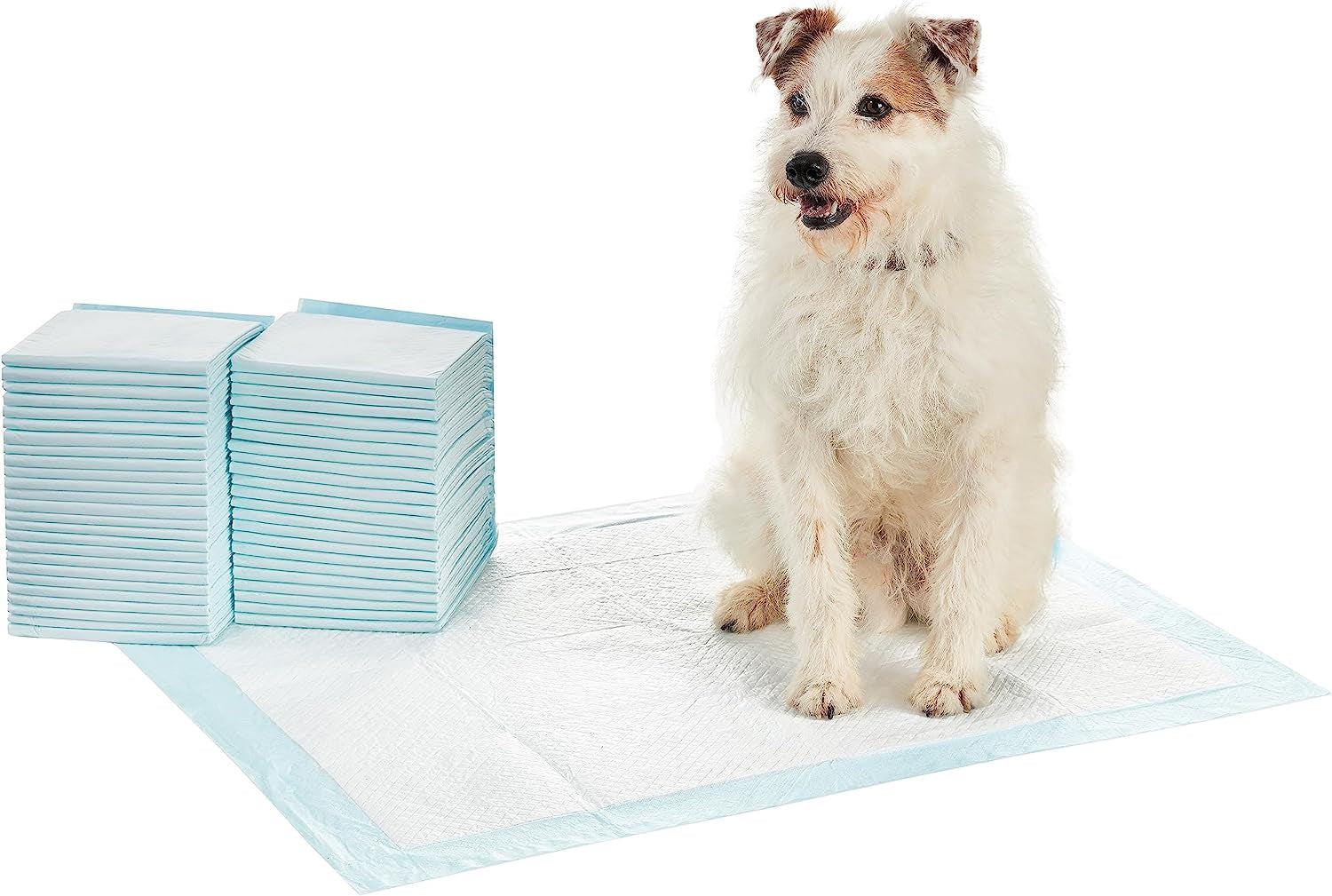 Amazon Basics Dog and Puppy Pee Pads with Leak-Proof Quick-Dry Design for Potty Training, Heavy Duty Absorbency, X-Large, 28 X 34 Inches, Pack of 50, Blue & White