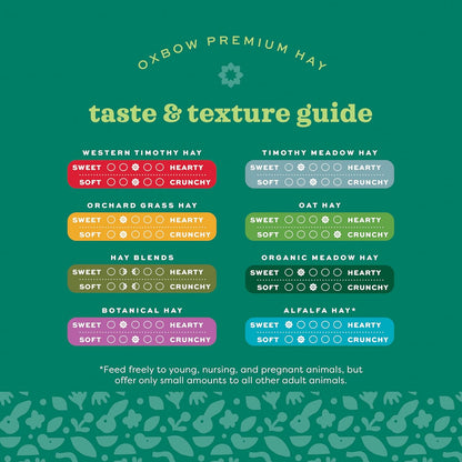 Oxbow Animal Health Western Timothy Hay - All Natural Hay for Rabbits, Guinea Pigs, Chinchillas, Hamsters & Gerbils-Veterinarian Recommended- Digestive & Dental Health- Grown in the USA- 9lb.